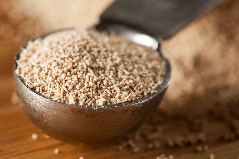 伝統を受け継ぐ酵母菌